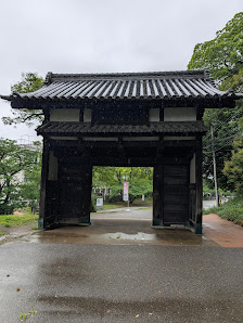 舞鶴公園の桜 6