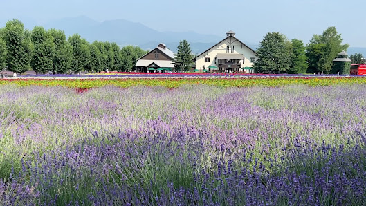 Sakiwai Field 4