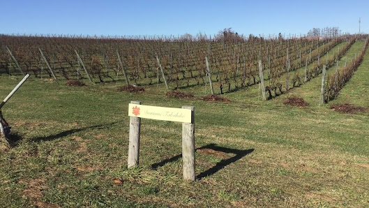 Domaine Takahiko 3