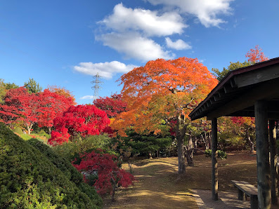 Hiraoka Tree Art Center 4