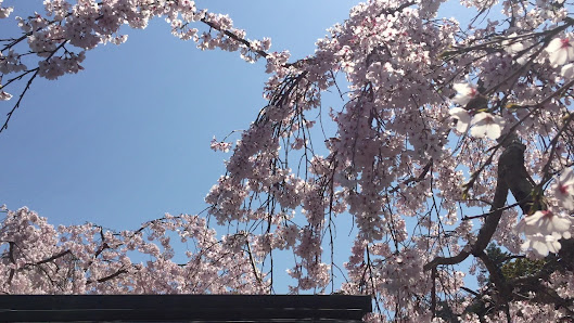 Miyajima Grand Hotel Arimoto 5
