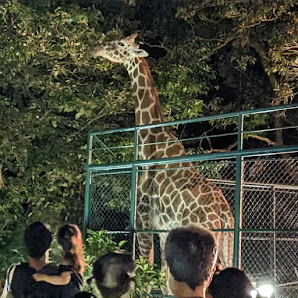 후쿠오카시 동식물원 8