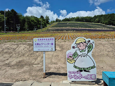 Nakafurano Flower Park 사진 3