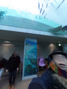 나고야항 수족관 8