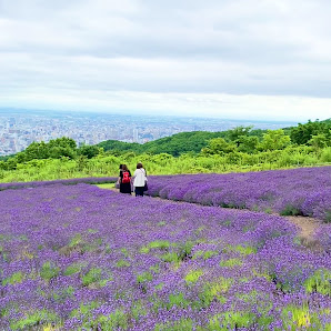 Horomitoge Lavender Garden 3