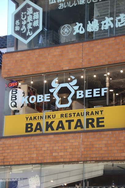 KOBE BEEF YAKINIKU RESTAURANT-BAKATARE