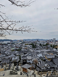 아치신사 12