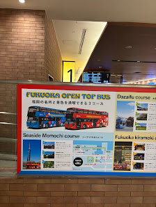 Fukuoka Open Top Bus 사진 3