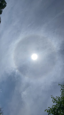 시코츠호수 신스이공원 2