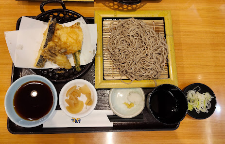 Tendon Tenya 9