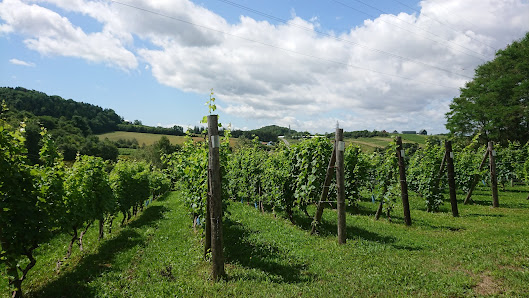 Takizawa Winery 사진 3