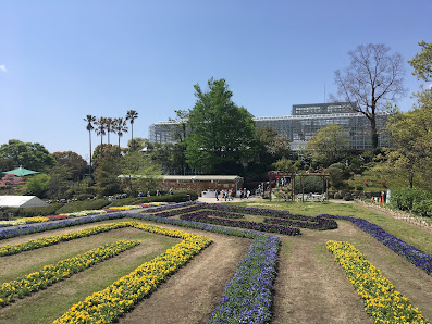 Hiroshima Botanical Garden 4