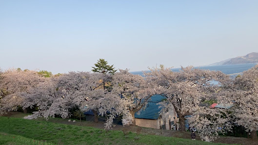 테미야 공원 5