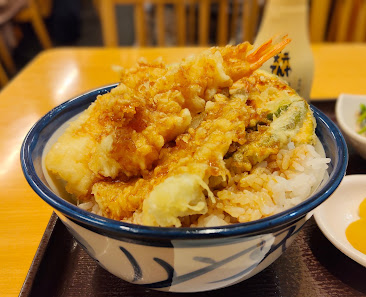 Tendon Tenya 8