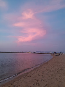 시사이드 모모치 해변공원 6