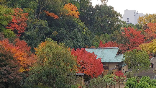 Matsuyama Castle 4