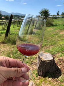 Domaine Takahiko 4