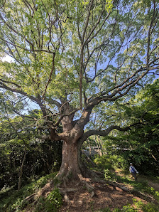 Motoujina Park 2
