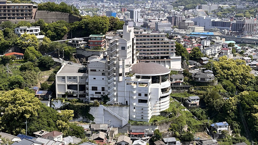 Hotel Amandi (inasayama-onsen) 8