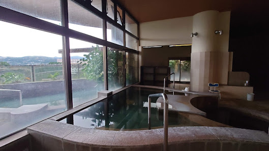 Hotel Amandi (inasayama-onsen) 6