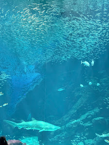 마린월드 우미노나카미치 (Marine World Uminonakamichi) 사진 3