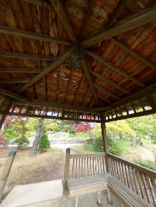 Hiraoka Tree Art Center 5