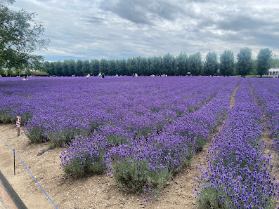 Sakiwai Field 사진 2
