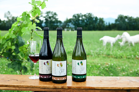 Domaine Raison 4