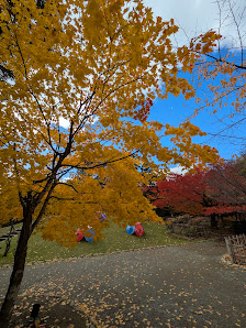 Nakajima Park Japanese Garden 9
