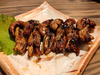히츠마부시 하나오카 10