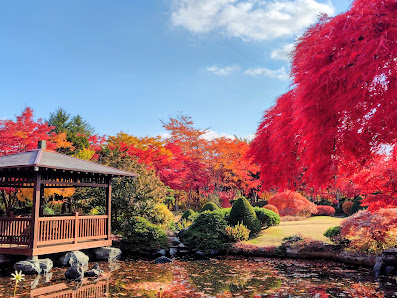 Hiraoka Tree Art Center 사진 2