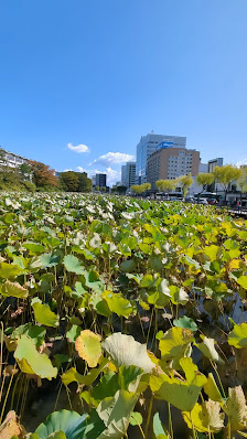 구보타(久保田) 성터&센슈 공원(千秋公園) 4 — 아키타