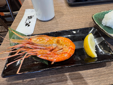 오이소 14