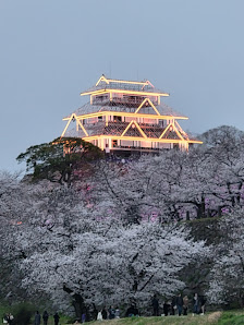 舞鶴公園の桜 사진 2