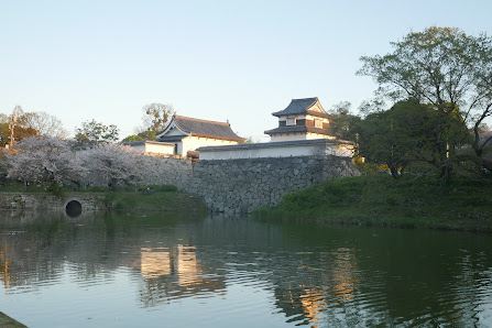 舞鶴公園の桜 4