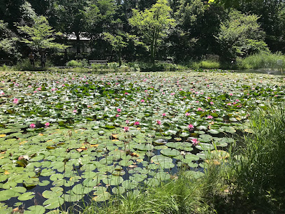 오노이케