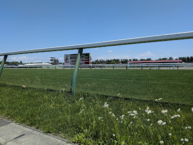JRA Sapporo Racecourse 사진 3