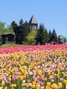 Takino Suzuran Hillside National Government Park 5
