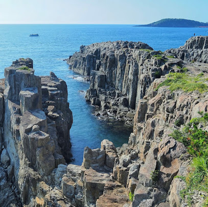 도진보