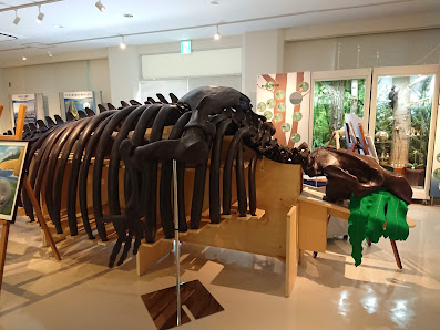 Sapporo City Museum Activity Center 사진 2