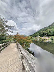 긴린코 5