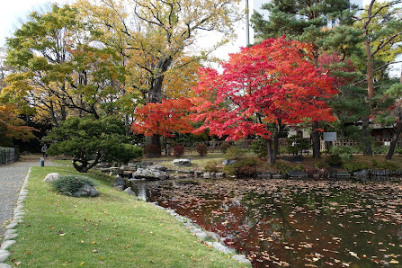 Nakajima Park Japanese Garden 8