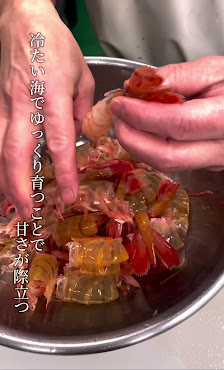 오마카세일본식 레스토랑 스시 니에바나 10
