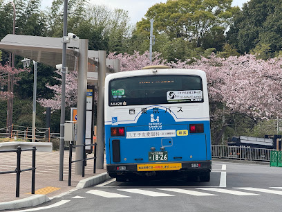Kurukuru