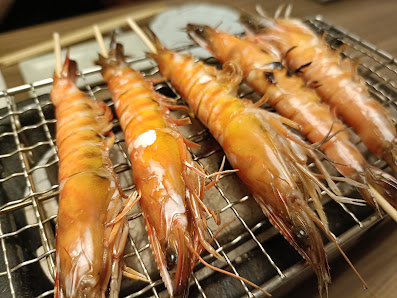 하카타로바타 노가미 12
