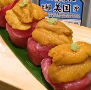 하치타이요오마루 17