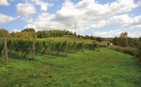 Takizawa Winery 5