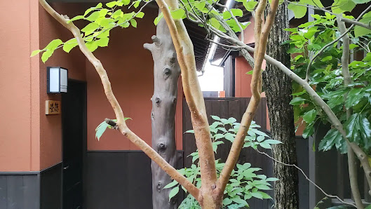 徳の宿 ふぶ庵 4