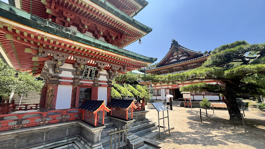 고산지 사진 3