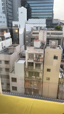 칸데오 호텔 히로시마 핫초보리 4